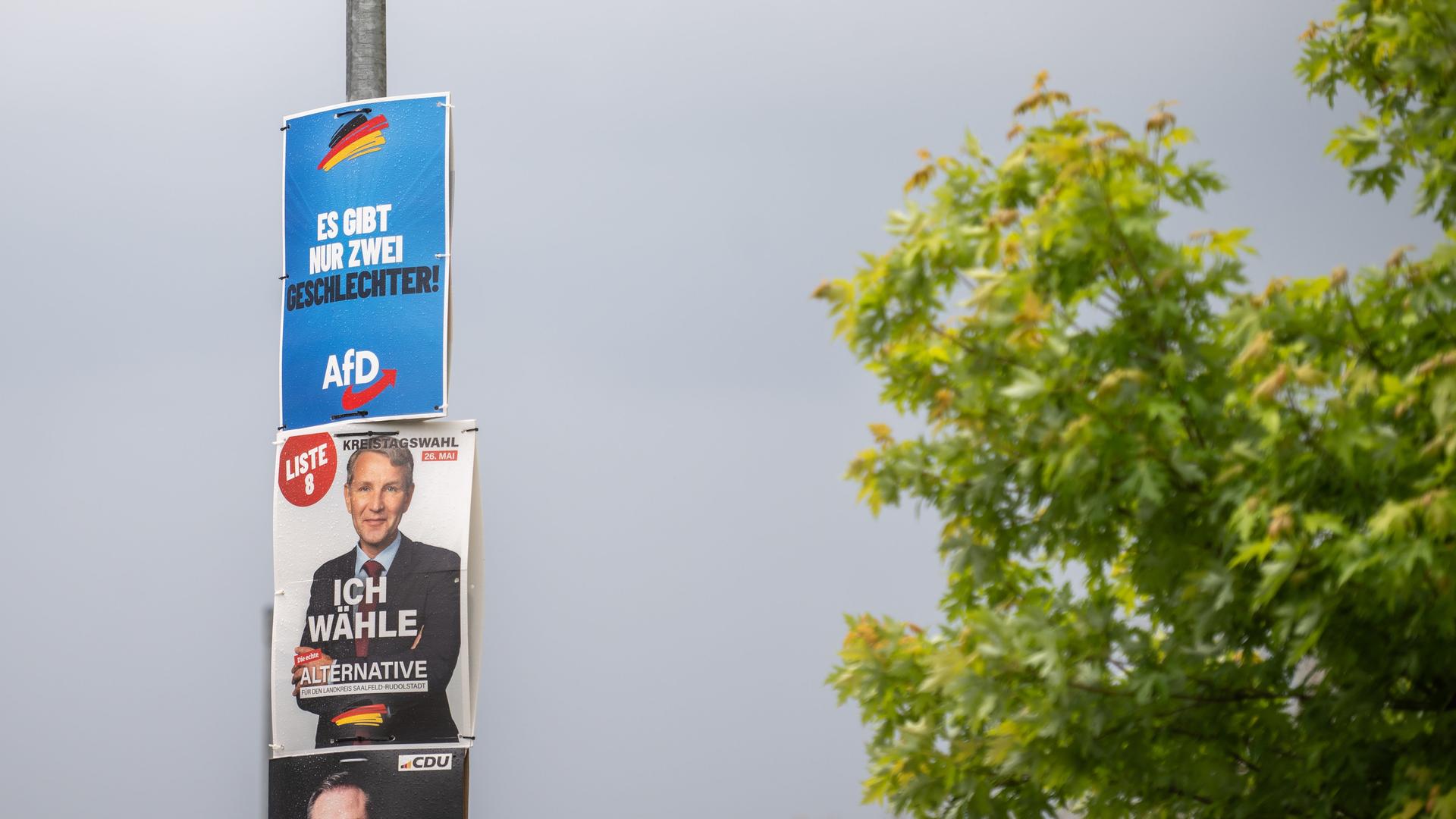Für die Kommunalwahl in Thüringen hängen Wahlplakate von der Alternative für Deutschland und der Alternative für den Landkreis Saalfeld-Rudolstadt an einem Mast untereinander. 