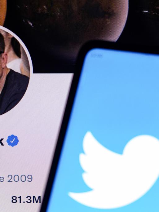 Ein Handy zeigt das Symbol des sozialen Netzwerks Twitter, im Hintergrund ist der Twitter-Account des Tesla-Chefs Elon Musk mit Foto zu sehen. 