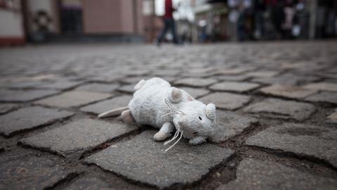 Eine kleine Stoffratte, die offenbar ein Kind verloren hat, liegt am 11.01.2018 in Frankfurt am Main (Hessen) auf dem Pflaster am Römerberg. 