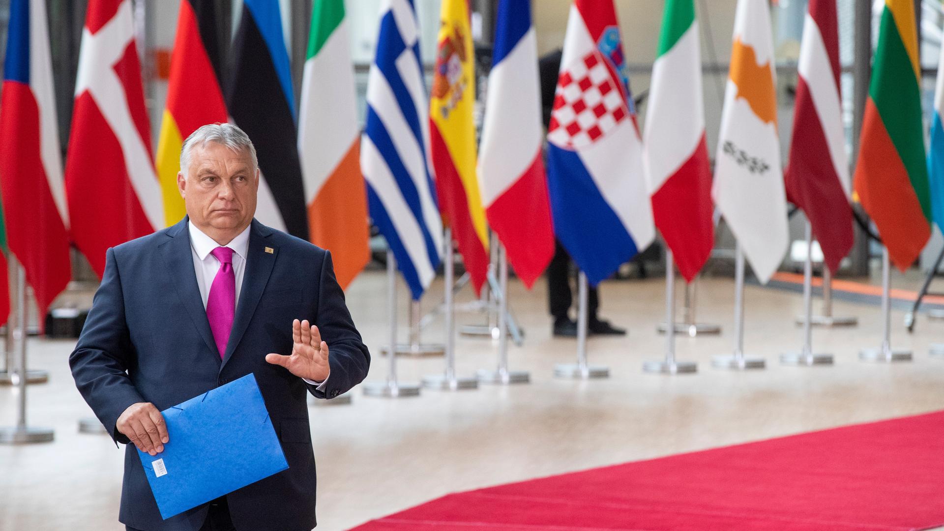 Ungarns Ministerpräsident Viktor Orbán läuft über einen roten Teppich in Brüssel und hebt die Hand