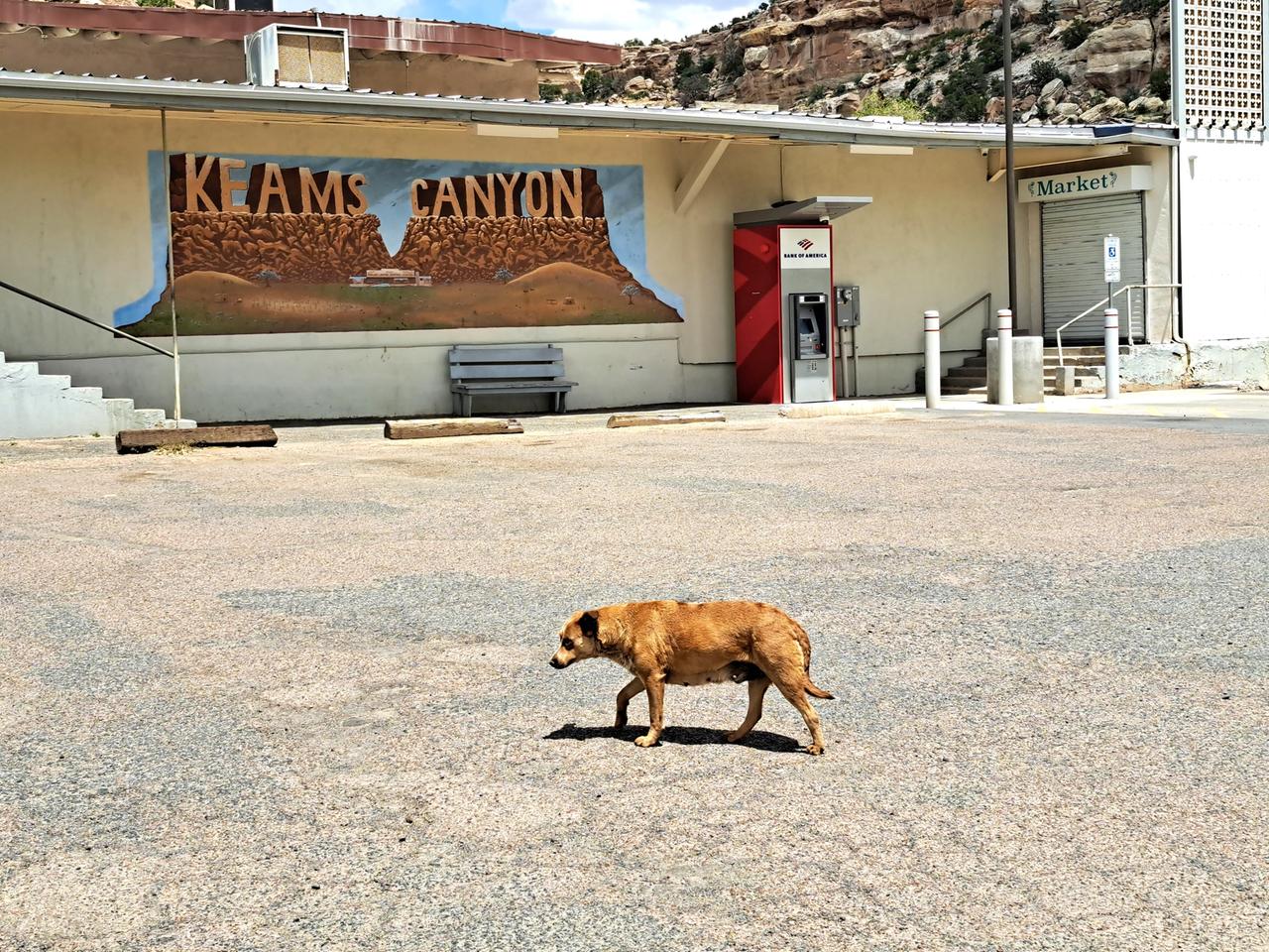 Ein Hund läuft über einen menschenleeren Platz in Keams Canyon.