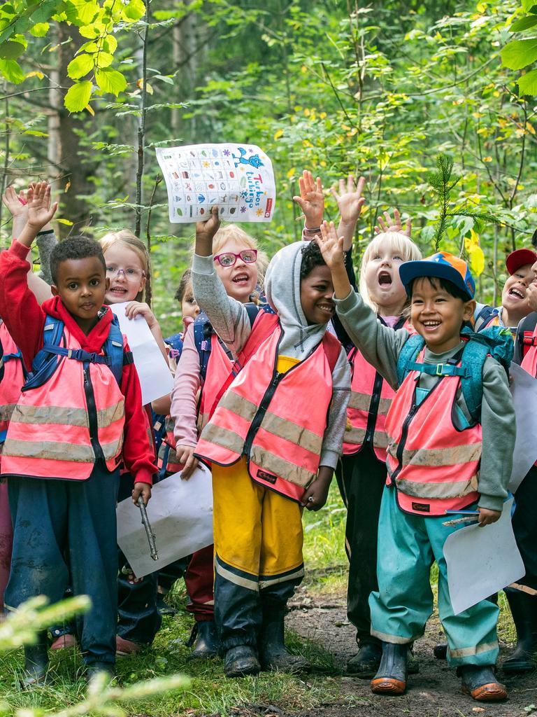 Eine Gruppe Kindergartenkinder spielen im Wald Eine Gruppe Kindergartenkinder spielen im Wald