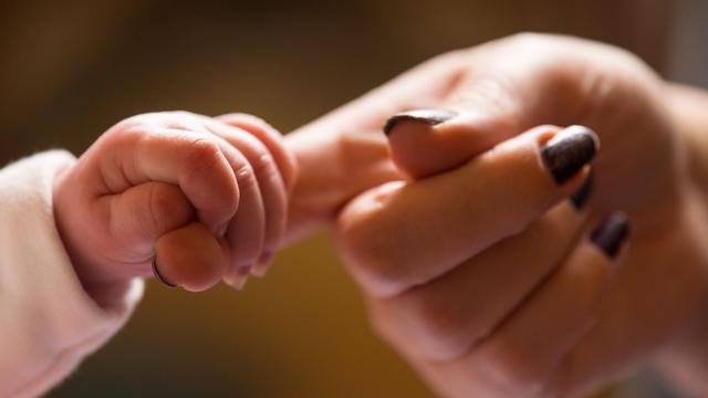 Eine Hand eines Babys greift den Zeigefinger eines Erwachsenen. 