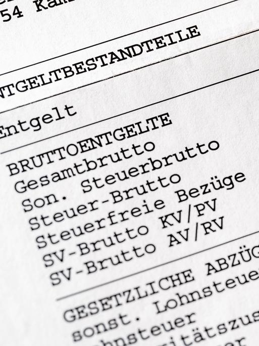 Der Ausschnitt einer Lohnabrechnung für einen Arbeitnehmer führt unter anderem Kranken-, Pflege-, Arbeislosen- und Rentenversicherung auf.