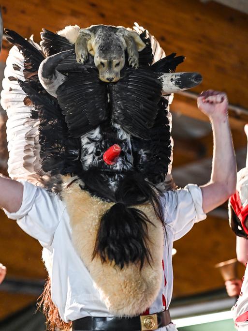 Umstrittener Brauch: Schläge mit einem Kuhhorn auf Frauen bei "Klaasohm" auf Borkum sorgten für Empörung.