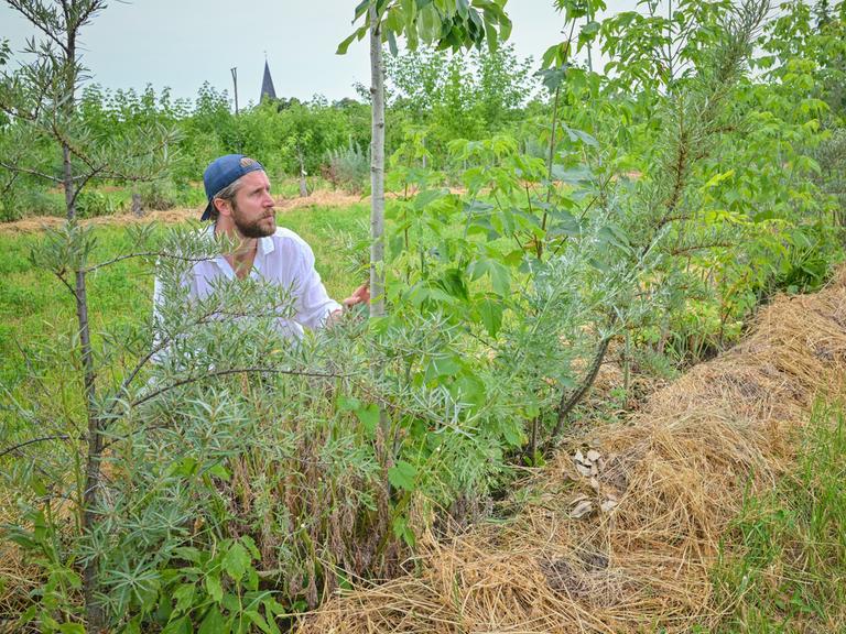 Der Agrarökonom Benedikt Bösel hockt neben einer neu angepflanzten Fläche aus Bäumen und Büschen.