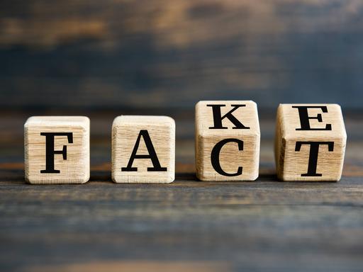 Zu sehen sind Buchstabenwürfel. Sie bilden das englische Wort „Fact“. Die letzten beiden Würfel sind jedoch gekippt und lassen zugleich die Oberseite erkennen. Darauf stehen die Buchstaben K und E. So kann man auch das englische Wort „Fake“ herauslesen.