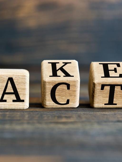 Zu sehen sind Buchstabenwürfel. Sie bilden das englische Wort „Fact“. Die letzten beiden Würfel sind jedoch gekippt und lassen zugleich die Oberseite erkennen. Darauf stehen die Buchstaben K und E. So kann man auch das englische Wort „Fake“ herauslesen.