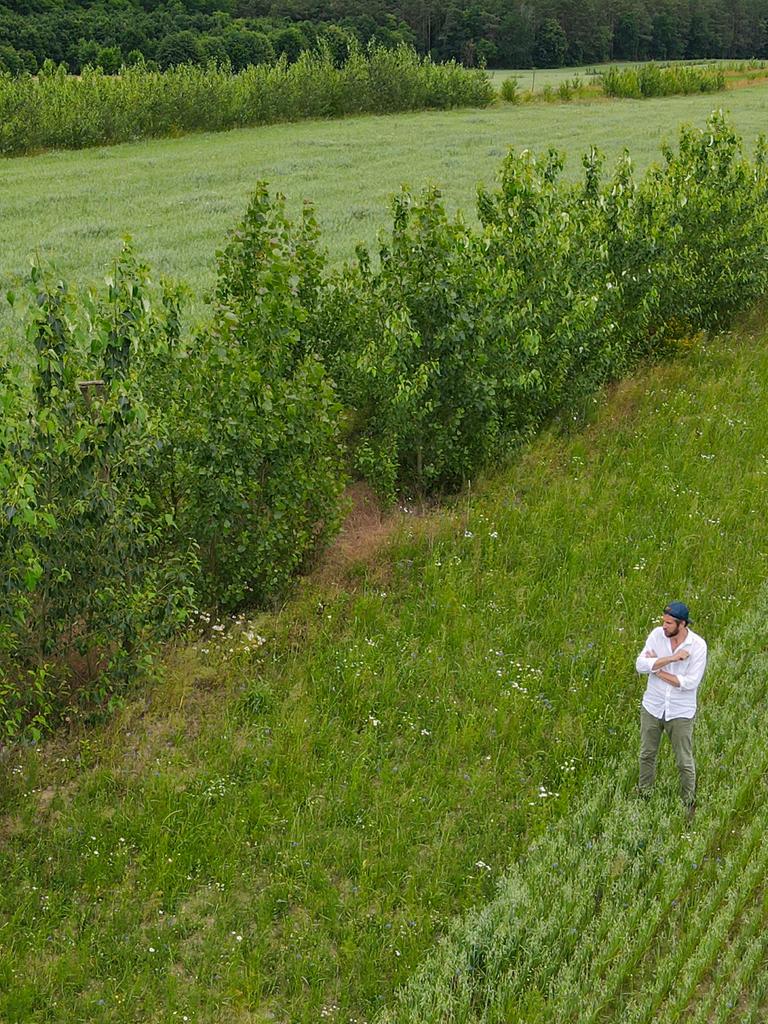 Benedikt Bösel, Landwirt, Unternehmer, Agrarökonom, ist auf einer Agroforstfläche mit einem Haferfeld zu sehen(Luftaufnahme mit einer Drohne).