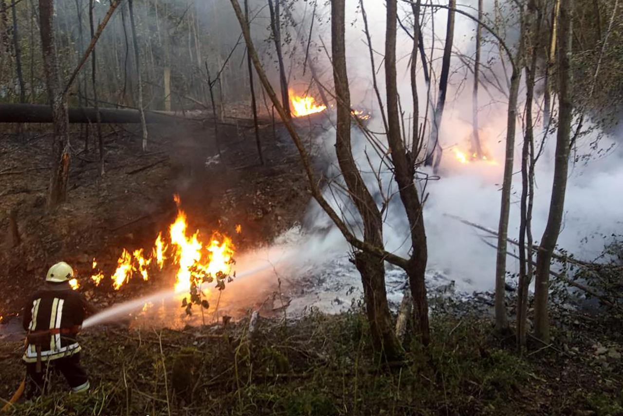 Ein Feuerwehrmann löscht ein Feuer in einem Wald mit Schaum.