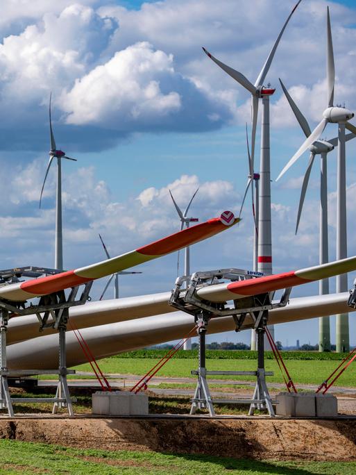 Mehrere große Windkraftanlagen stehen auf einem Feld. Im Vordergrund liegen Rotorblätter auf dem Boden, die für den Bau neuer Windräder vorbereitet werden. Über den Anlagen ziehen dichte Wolken am Himmel.