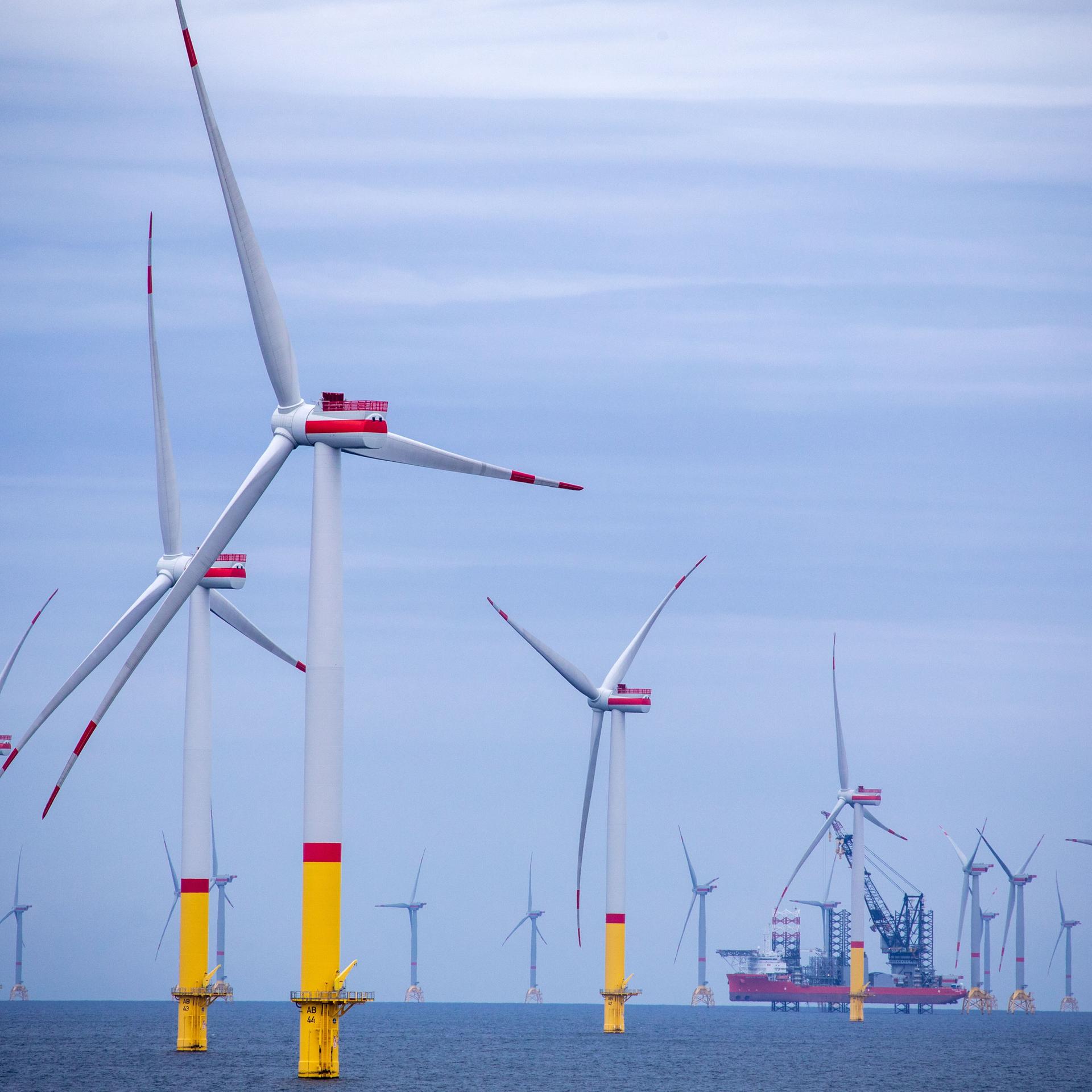 Offshore-Windparks - Ambitionierte Ziele, stockender Ausbau episode artwork