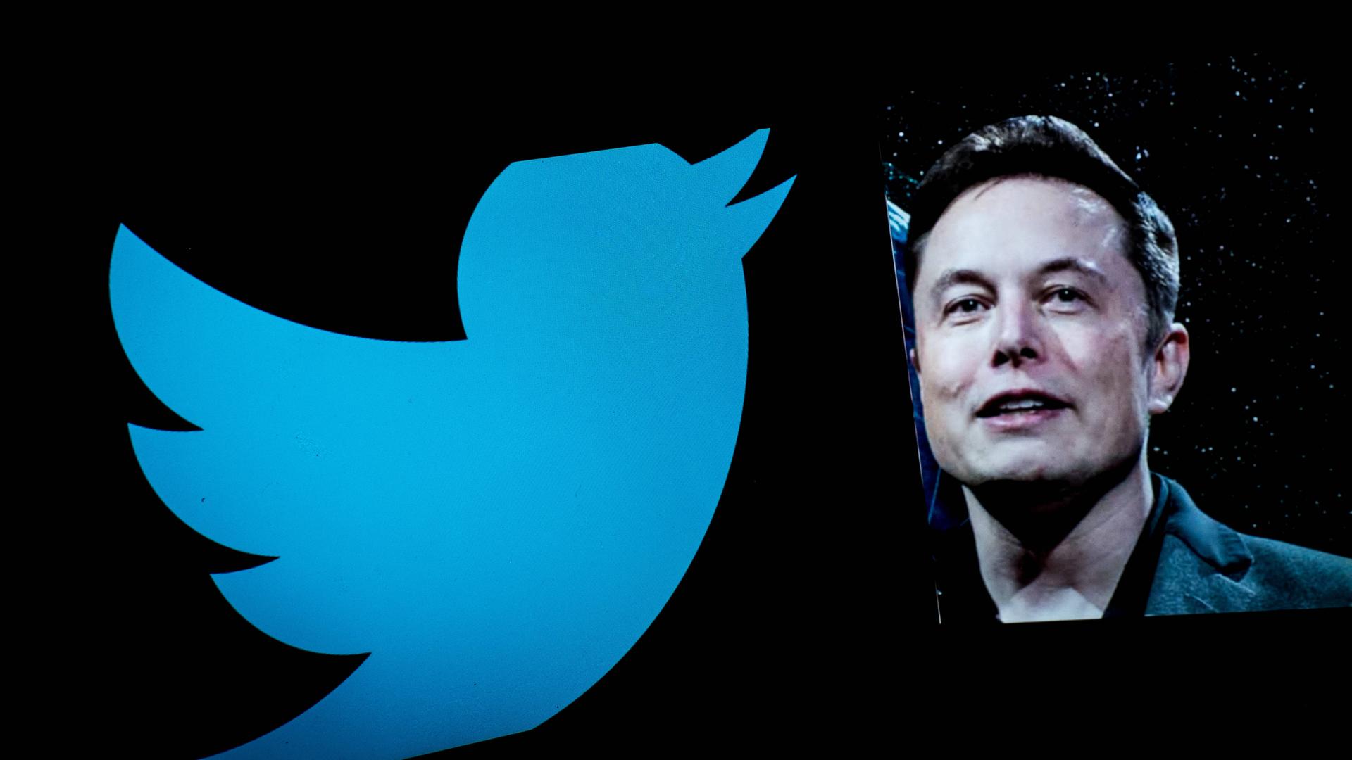 Elon Musk neben dem Twitter Logo