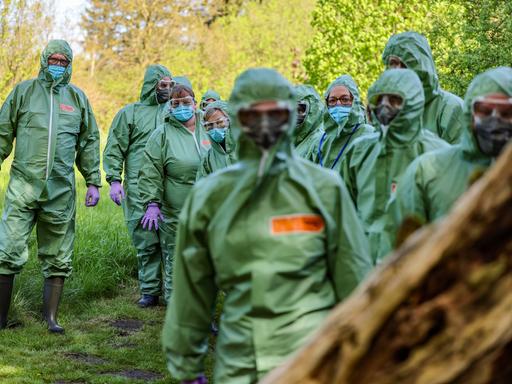 Mehrere Tierärzte und Helfer tragen grüne Schutzkleidung und sich vermummt.