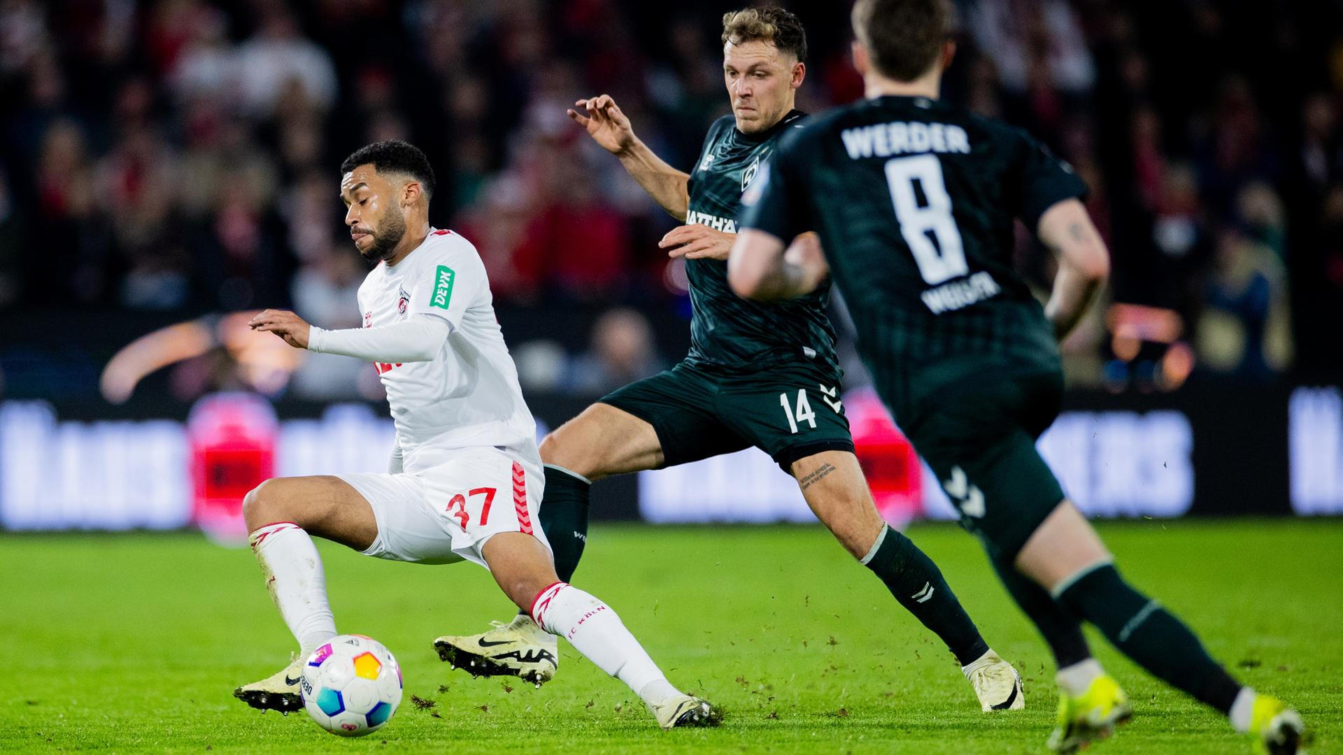 Fußball-Bundesliga: 1. FC Köln - Werder Bremen. Kölns Linton Maina (links) und Bremens Senne Lynen (Mitte) versuchen an den Ball zu kommen.