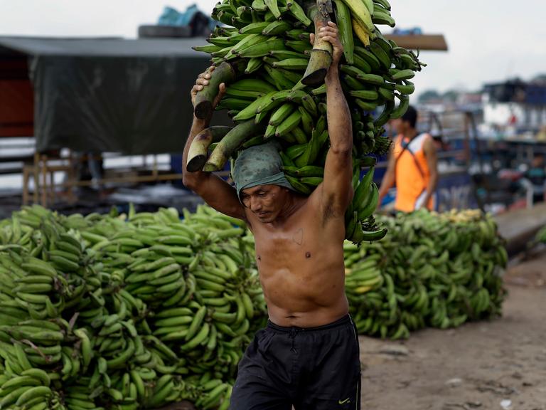 Ein Träger trägt ein Bündel Kochbananen auf dem Dock des Hafens von Pucallpa am peruanischen Amazonas. Unter den vielen Produkten, die im Hafen ankommen, ist Ayahuasca eines der Grundnahrungsmittel.