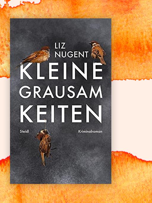 Buchcover "Kleine Grausamkeiten" von Liz Nugent auf orange-rotem grafischen Hintergrund.