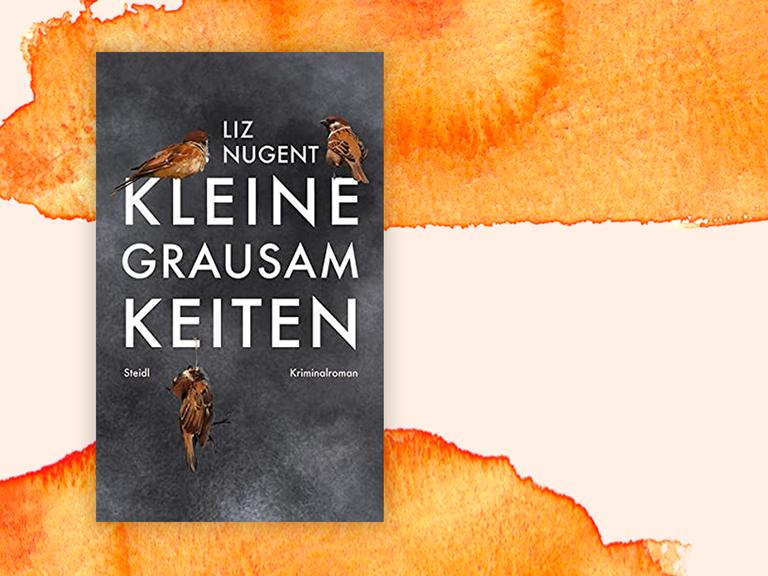 Buchcover "Kleine Grausamkeiten" von Liz Nugent auf orange-rotem grafischen Hintergrund.