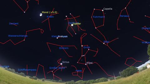 Nächtliche Himmelskarte mit vielen eingezeichneten Sternbildern über einer grünen Wiesenlandschaft.