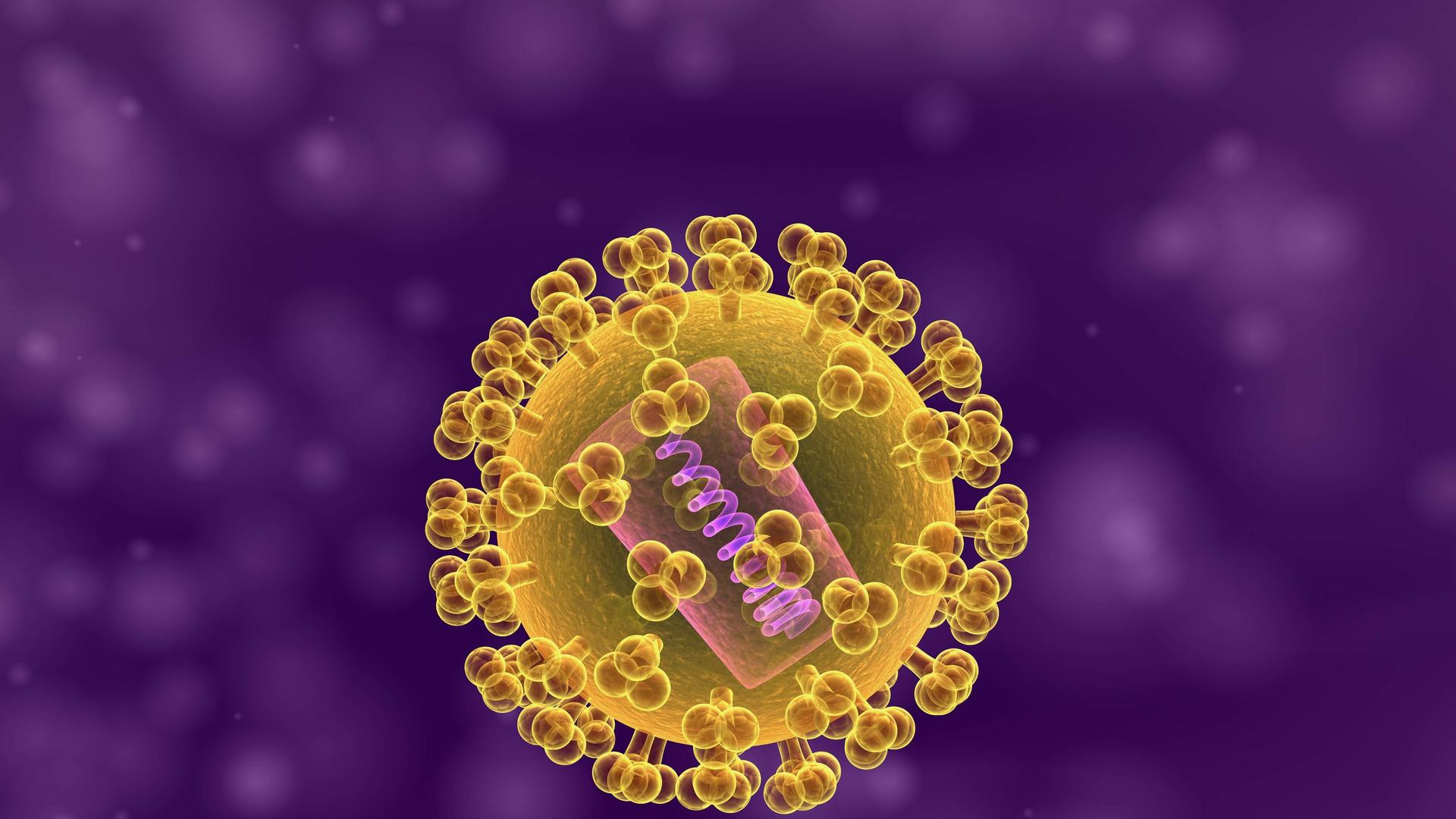 Eine 3-D-Illustration eines isolierten Hi-Virus vor lilanem Hintergrund