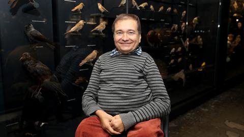 Onur Güntürkün, Professor für Biopsychologie sitzt in der Sonderausstellung Mensch und Tier im Rurhmuseum in Essen vor ausgestellten Vögeln. 