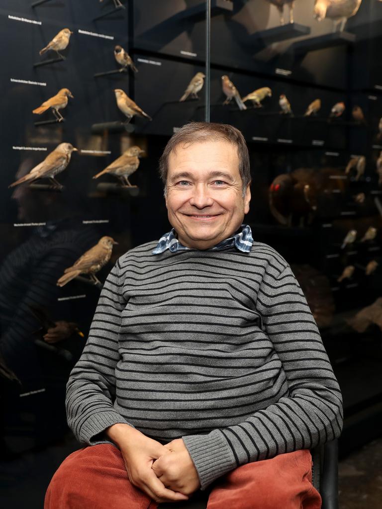 Onur Güntürkün, Professor für Biopsychologie sitzt in der Sonderausstellung Mensch und Tier im Rurhmuseum in Essen vor ausgestellten Vögeln. 