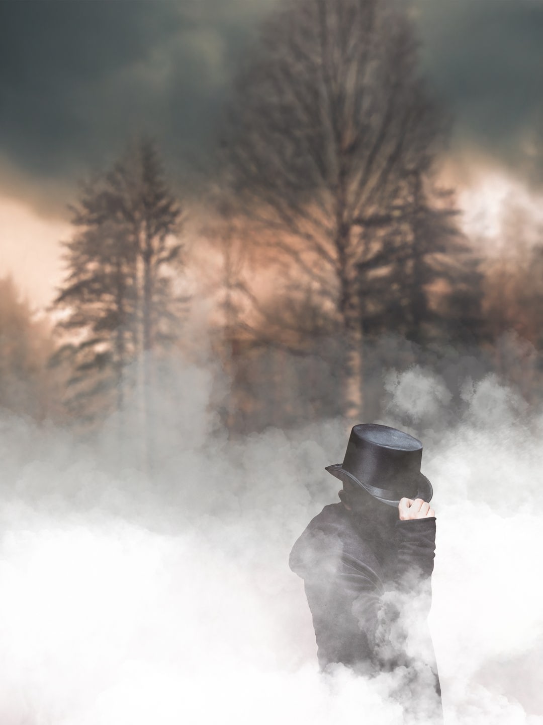 Professor van Dusen: Ein Mann mit unkenntlichem Gesicht im Mantel, der mit seiner Hand an seinen Zylinder fasst. Er steht im Nebel vor einem düsteren winterlichen Wald