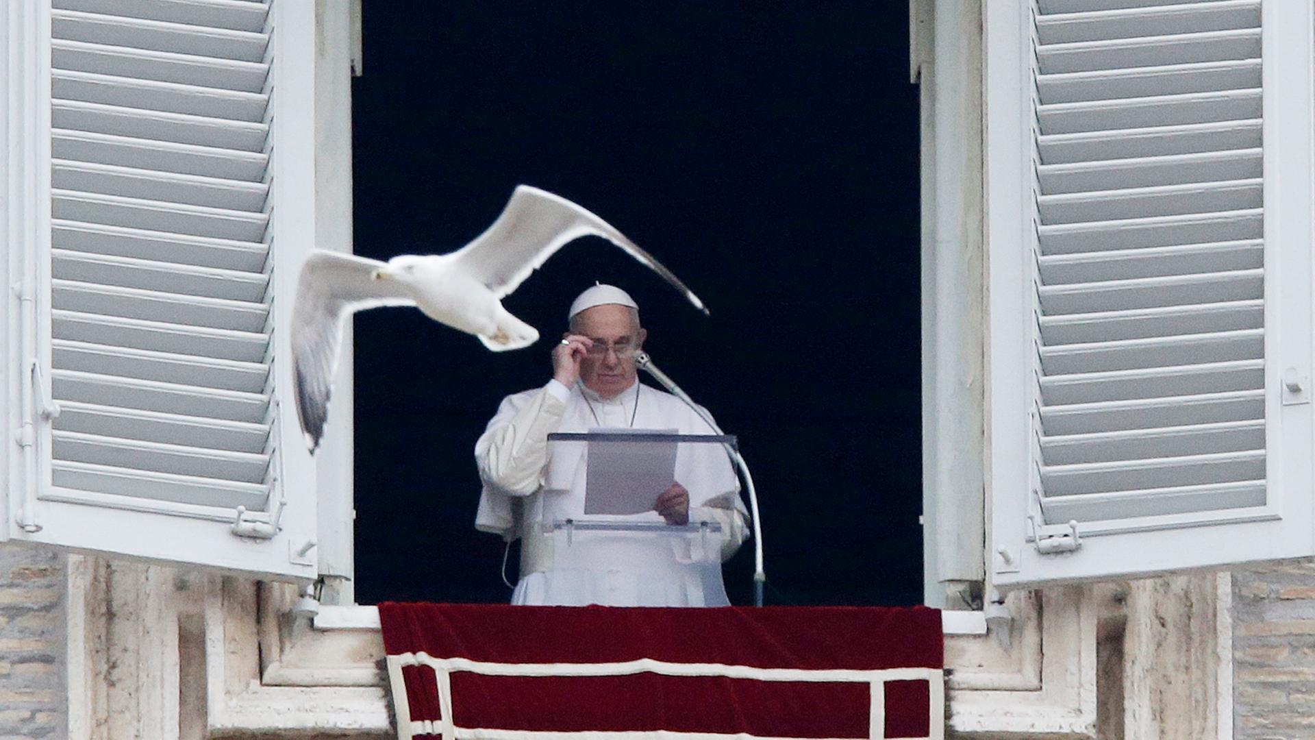 Papst Franziskus hält eine Rede vom Balkon des Vatikan, während eine Möwe an ihm vorbeifliegt.