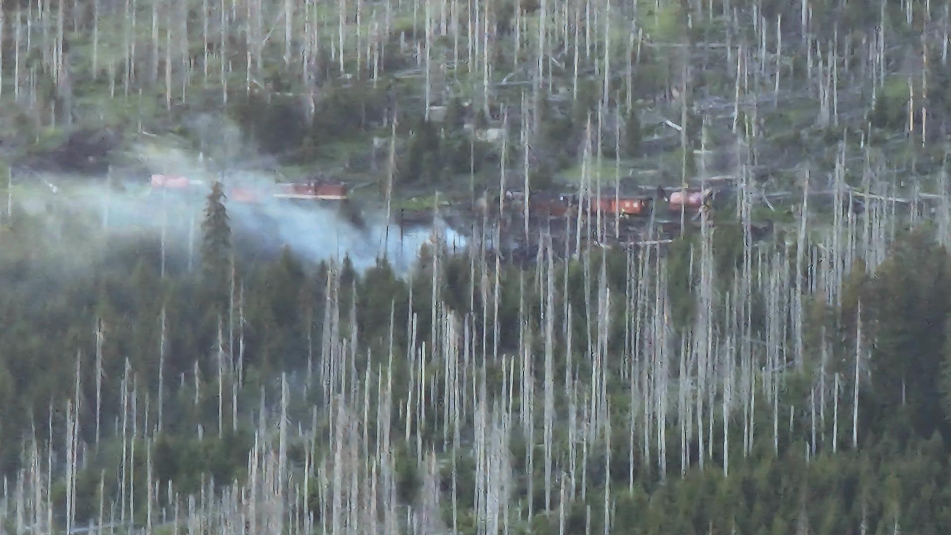 Am Brocken steigt Rauch auf. Zu sehen sind viele kahle Fichtenbäume, die aber nicht durch das Feuer zerstört wurden, sondern bereits zuvor vom Borkenkäfer.