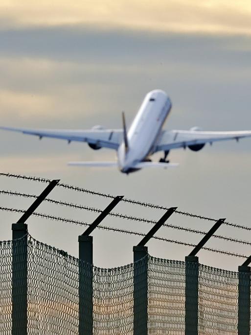 Flugzeug vor Stacheldrahtzahn