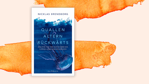 Cover des Buchs „Quallen altern rückwärts. Was wir von der Natur über ein langes Leben lernen können“ vor weiß-orangenem Hintergrund.