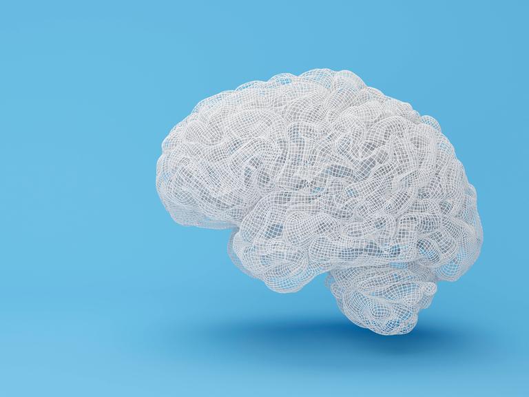 Eine Illustration eines Gehirns.