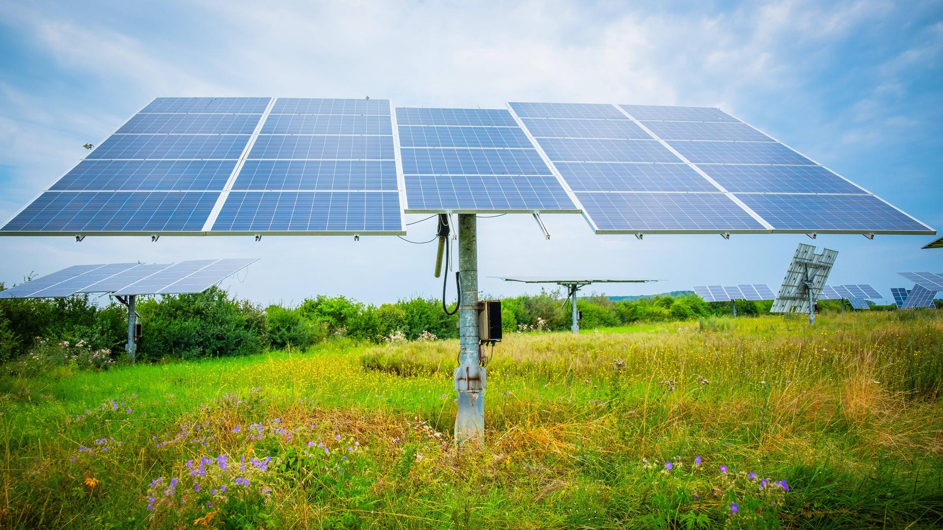 Photovoltaikanlage auf einem Feld.