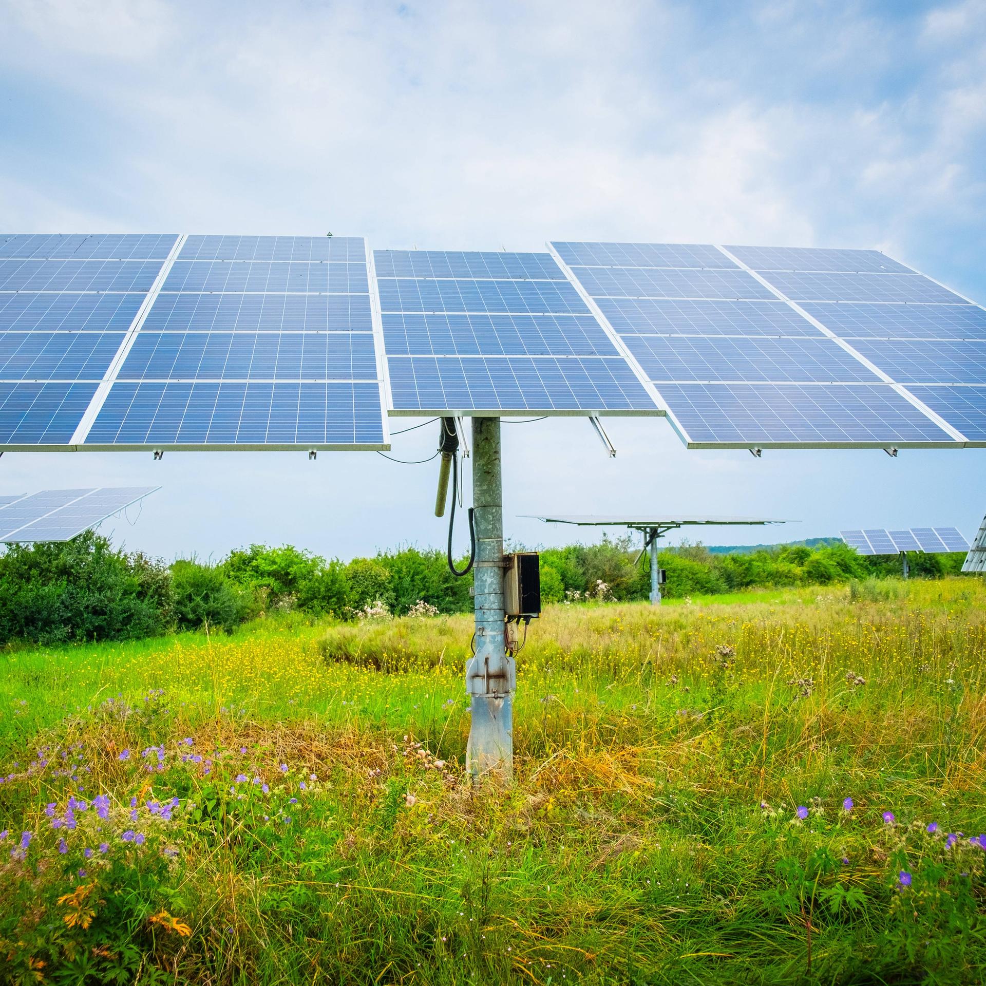 Photovoltaikanlage auf einem Feld.