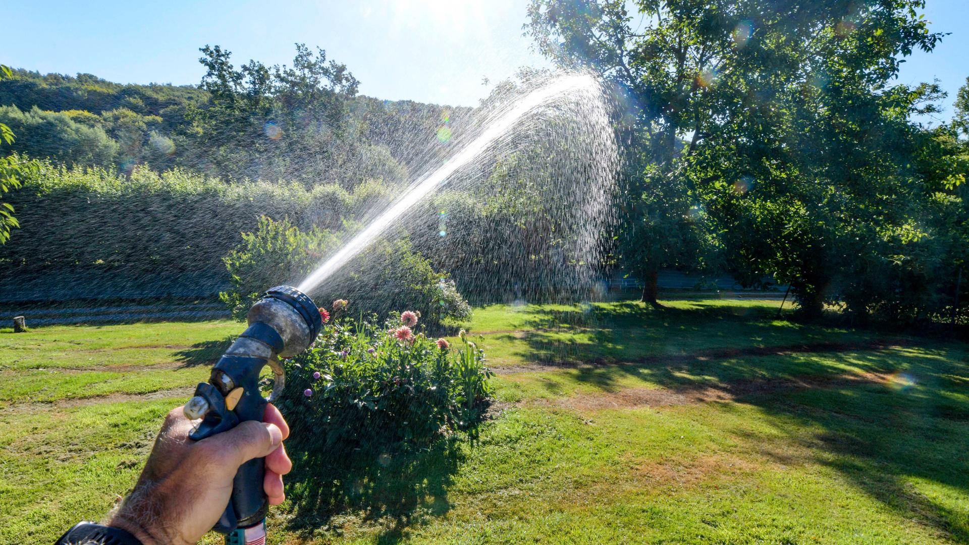 Ein Hand hält einen Wasserschlauch und sprüht Wasser in einen Garten.