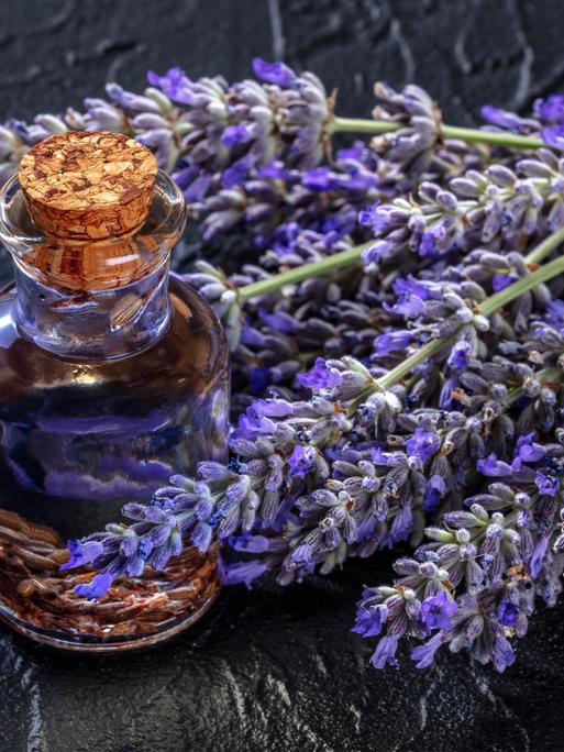 Lavendel-infundiertes Öl mit Lavendelblüten auf schwarzem Hintergrund