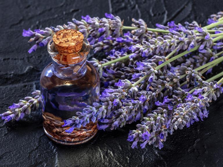 Lavendel-infundiertes Öl mit Lavendelblüten auf schwarzem Hintergrund