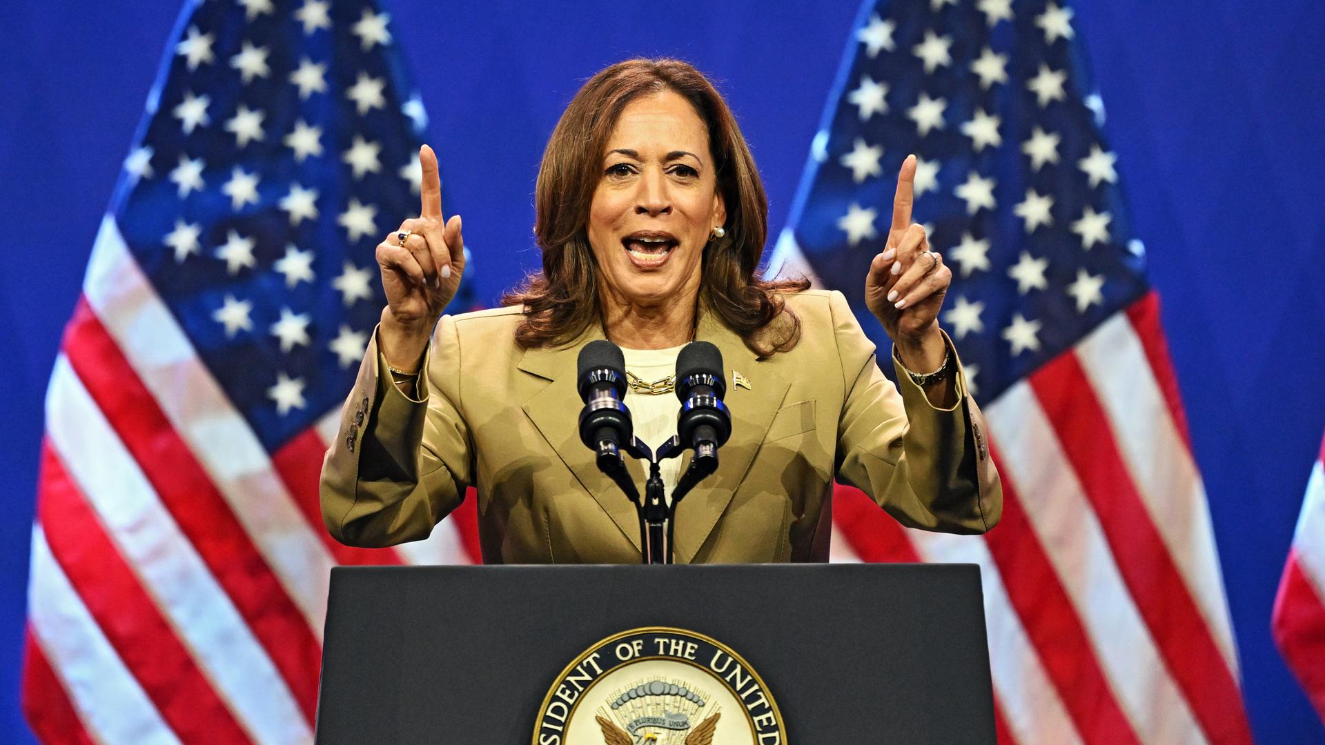 Vizepräsidentin Kamala Harris spricht während einer Wahlkampfveranstaltung in Philadelphia, Pennsylvania am 13.07.2024.