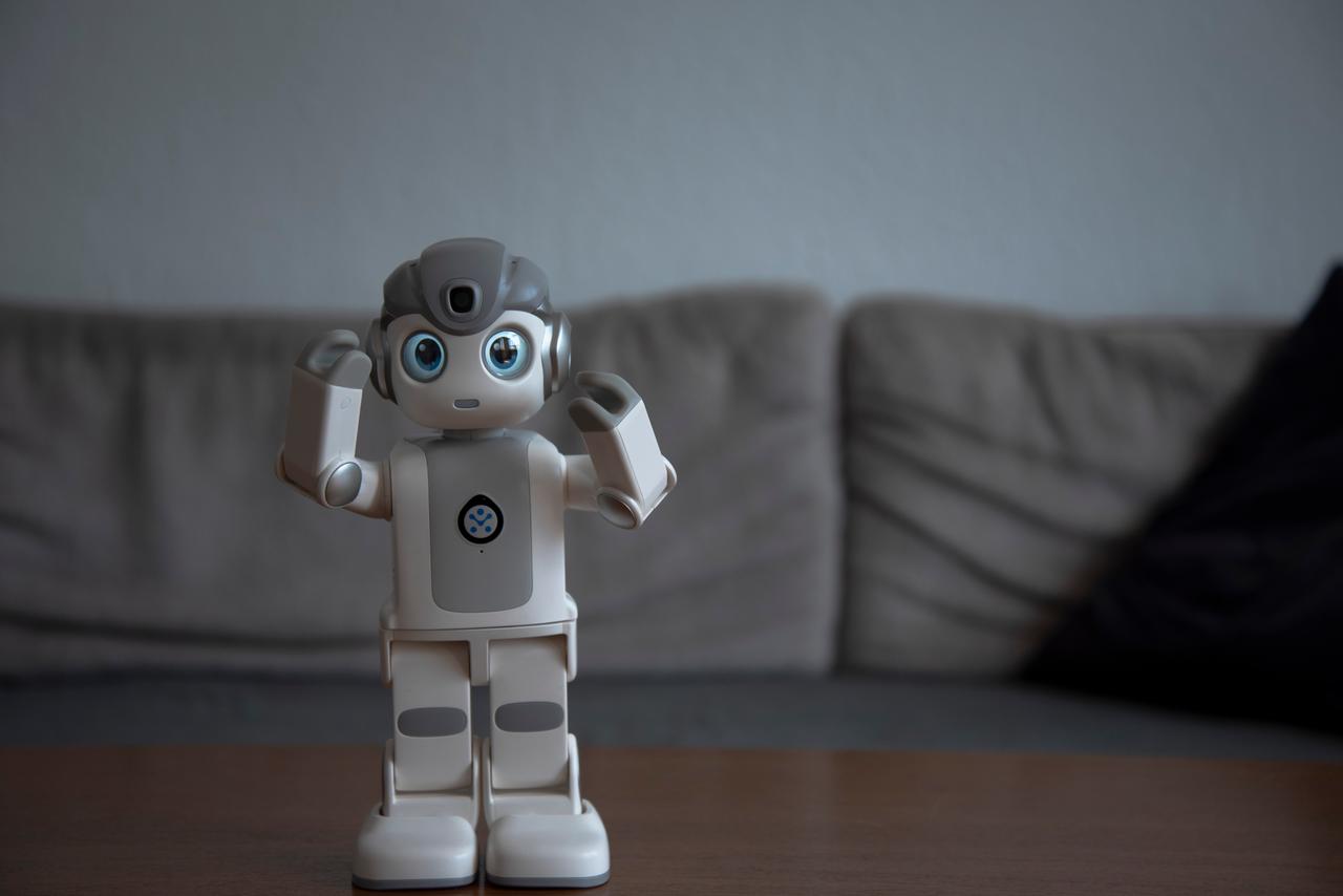 Robin - ein kleiner Roboter steht auf einem Tisch