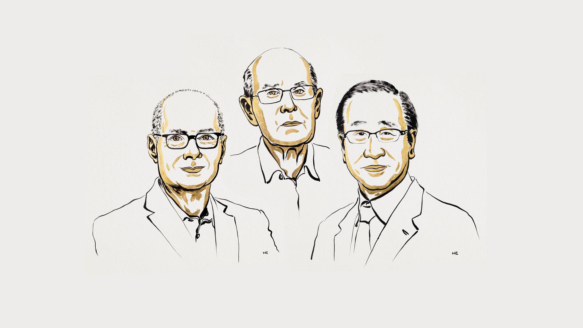 Illustration der drei Nobelpreisträger mit feinem Strich. 