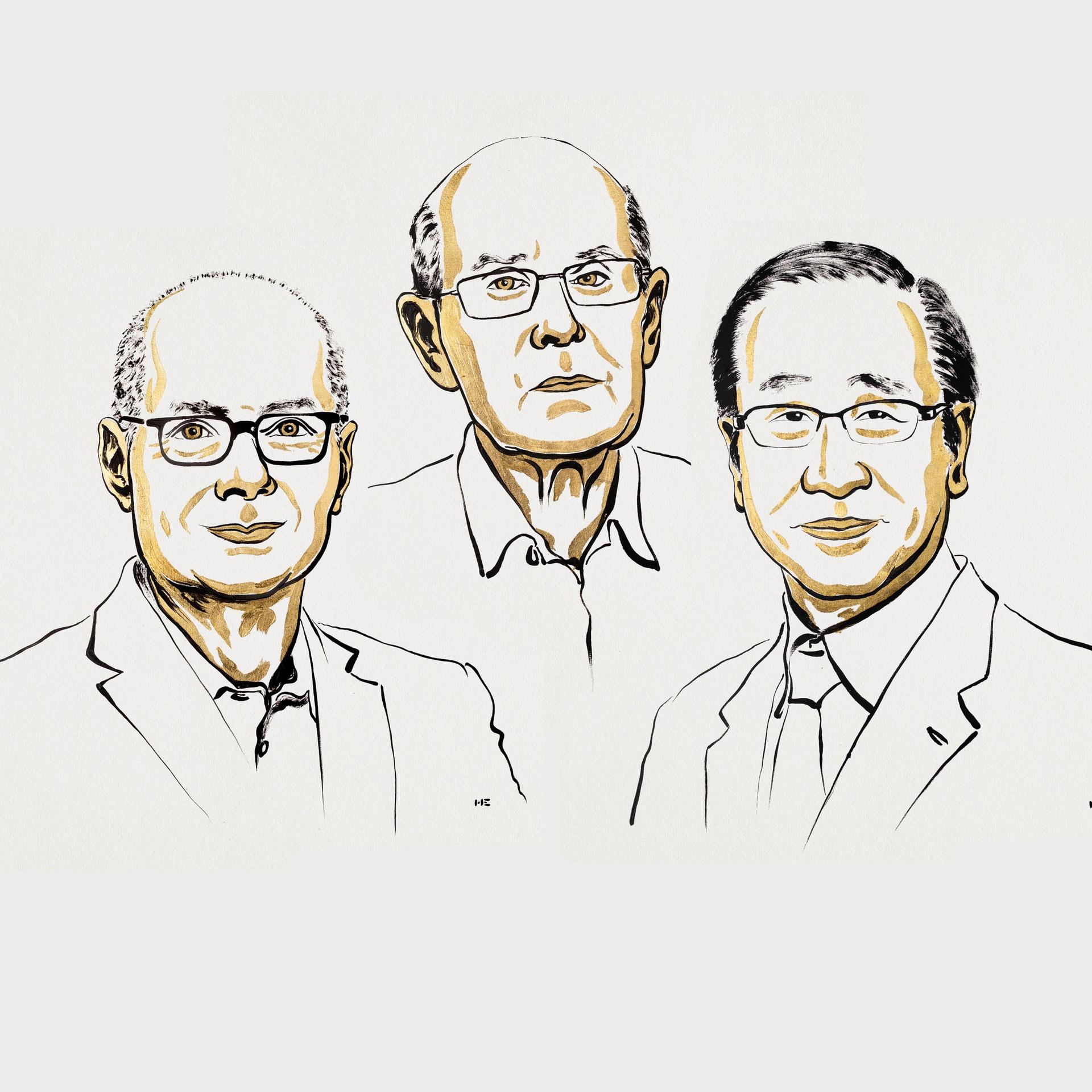 Chemie-Nobelpreis 2025 - Entdeckung von Molekül-Schwämmen ausgezeichnet