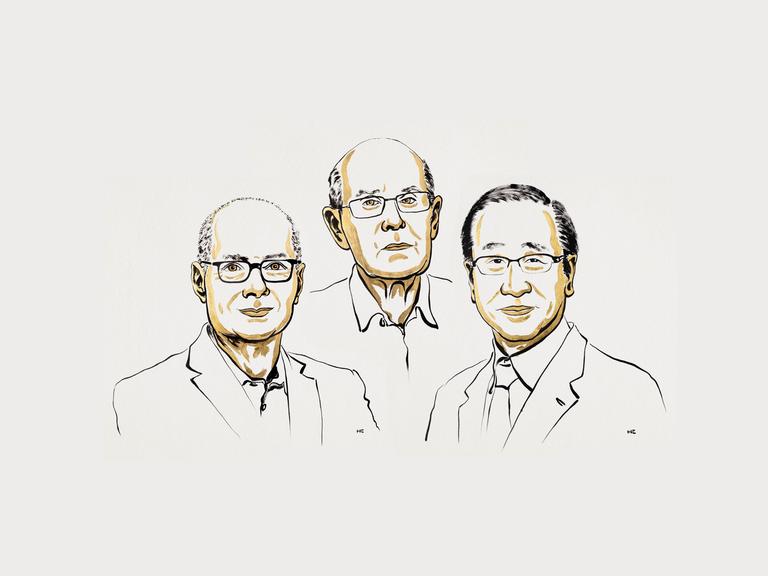 Illustration der drei Nobelpreisträger für Chemie 2025: Omar M. Yaghi, Richard Robson und Susumu Kitagawa