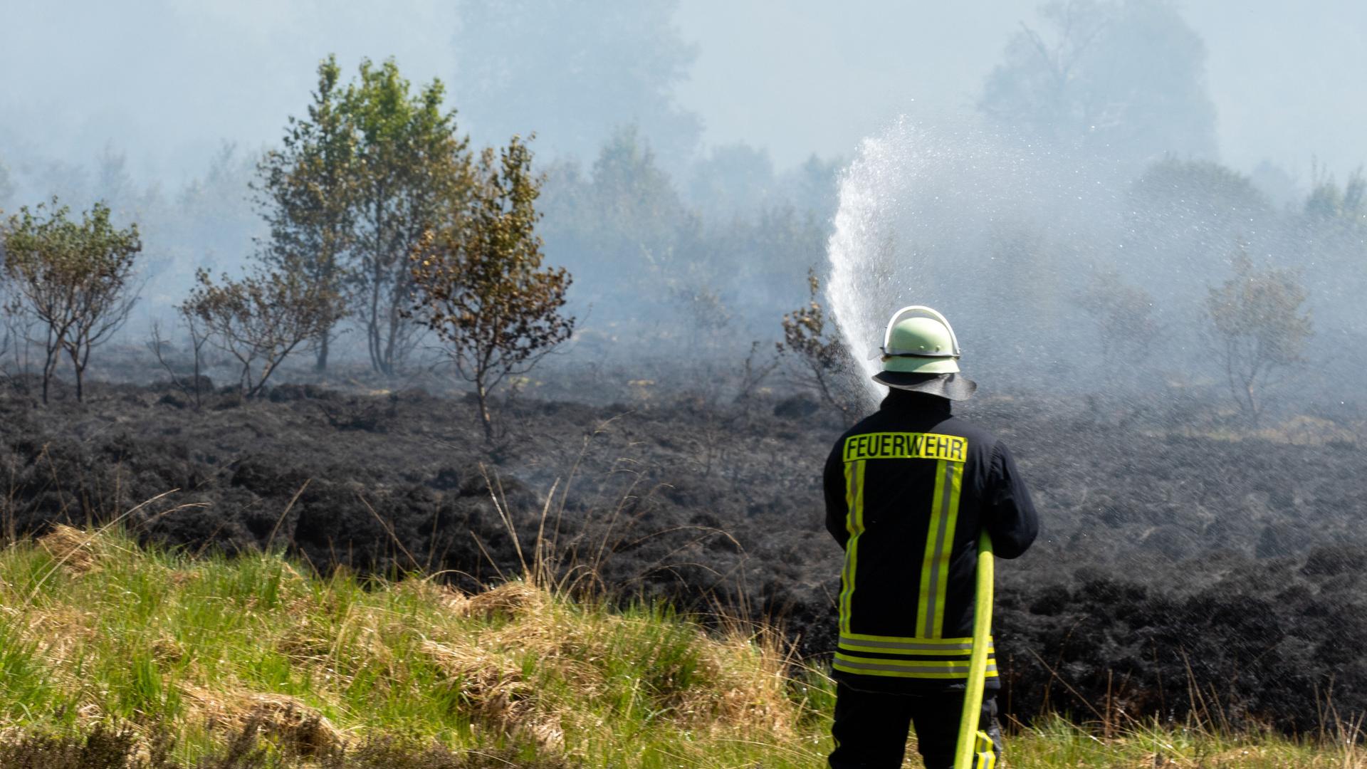 Ein Feuerwehrmann in Rückansicht versucht einen Moorbrand zu löschen.