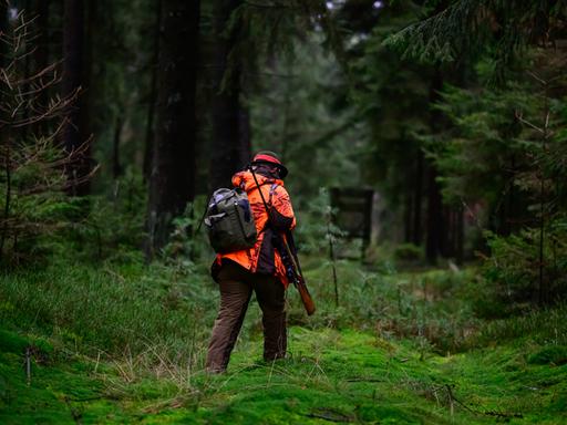 Eine Jägerin geht durch den Wald.