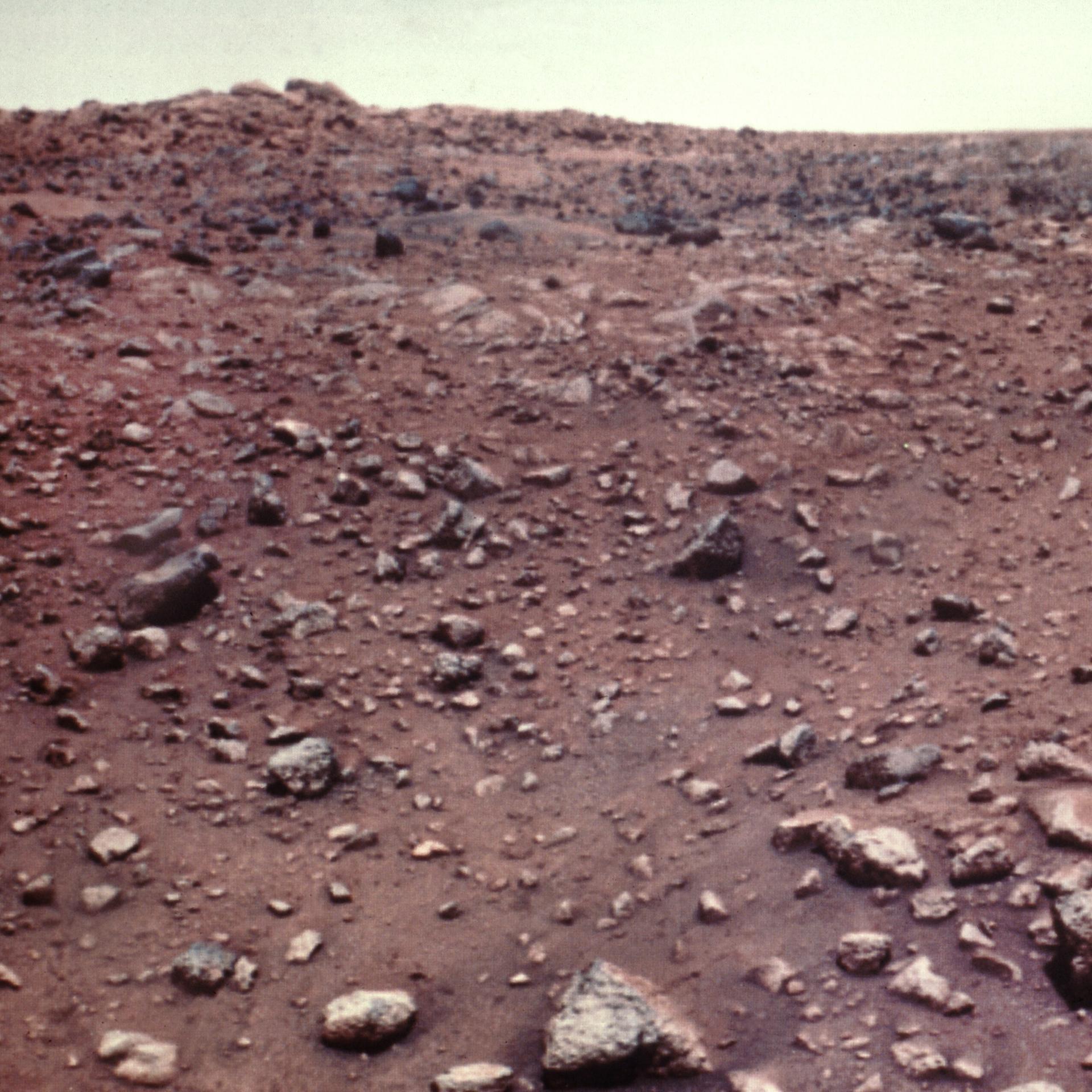 Nachbarplanet - Viking, Mars und vielleicht kleine grüne Männchen