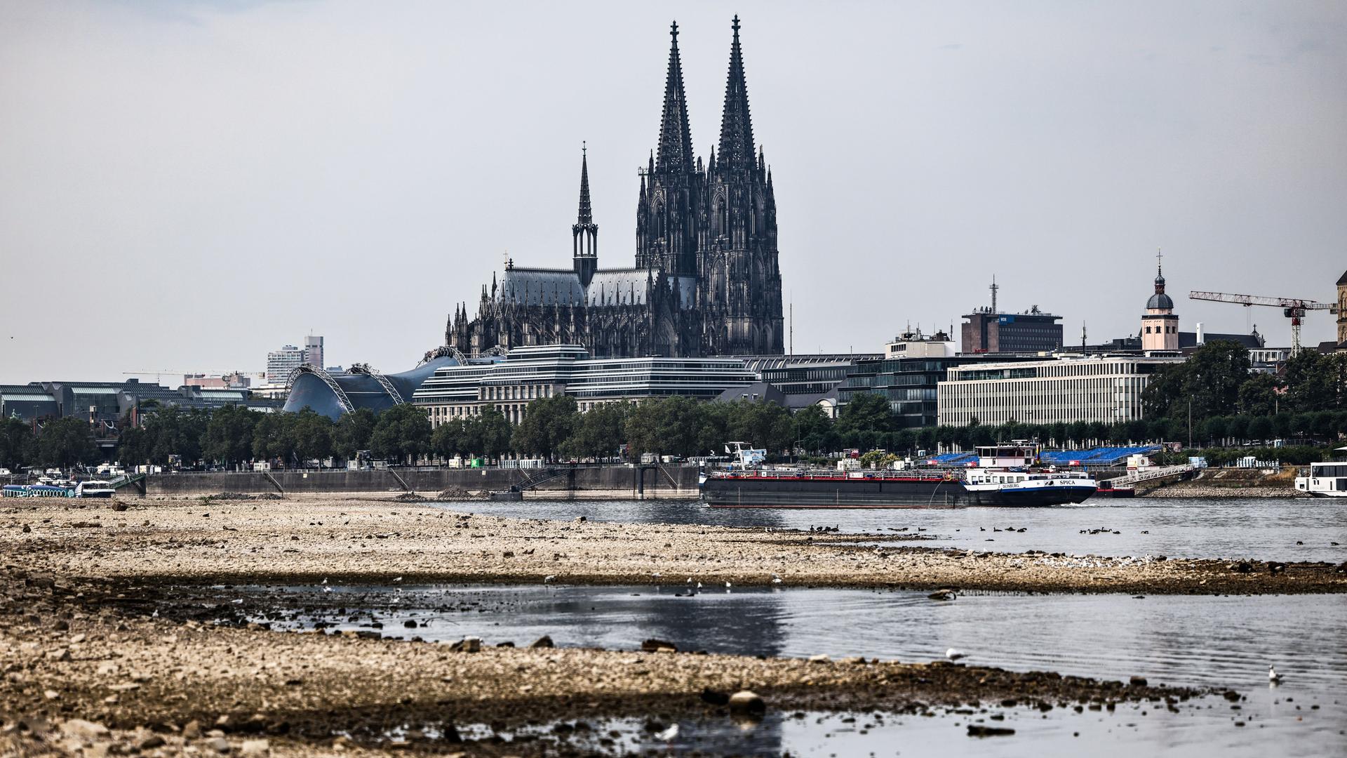 Ein Binnenschiff fährt bei niedrigem Pegelstand am Dom vorbei über den Rhein.