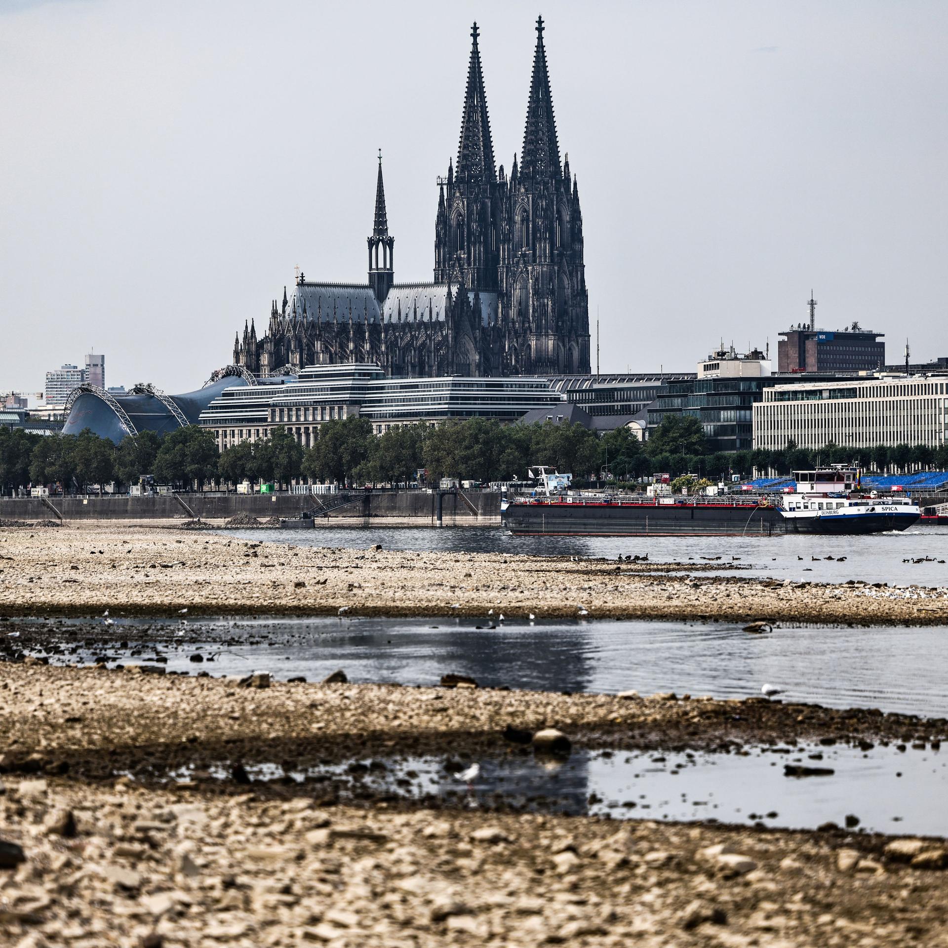 Ein Binnenschiff fährt bei niedrigem Pegelstand am Dom vorbei über den Rhein.