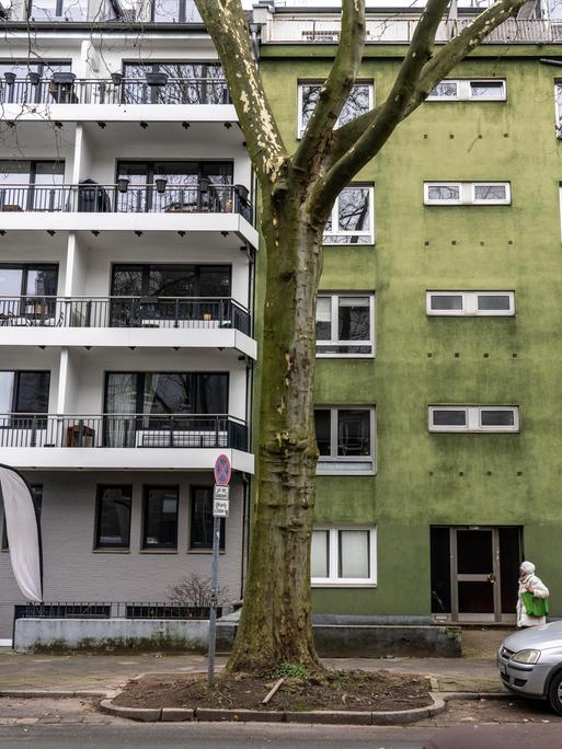 Straße mit Mietwohnungen und Eigentumswohnungen in Düsseldorf-Düsseltal. Weiße und ein grünes Haus wechseln sich in der Reihe ab. 