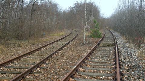 Stillgelegte Schienentrassen bei Berlin 