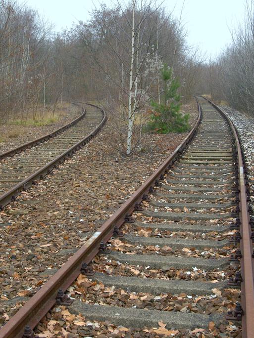 Stillgelegte Schienentrassen bei Berlin 